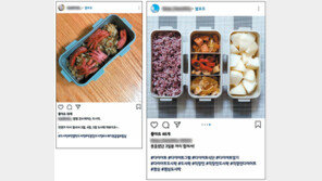 개성만발 도시락에 담은 ‘소확행’