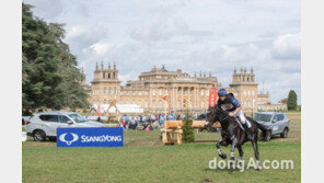 쌍용차, 포르쉐 제치고 영국 차주들 만족도 1위