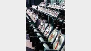 한화, 팬들께 꾸벅…11년만의 가을야구와 장미 1만3000송이