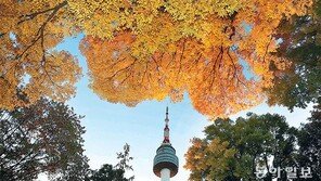 파란 하늘 물들인 남산의 가을