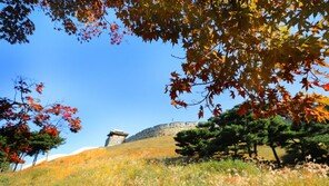 [날씨] 아침·저녁 쌀쌀, 낮은 화창…일교차에 감기 조심