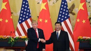 “트럼프·시진핑, 11월29일 정상회담…무역전쟁 발발 후 처음”