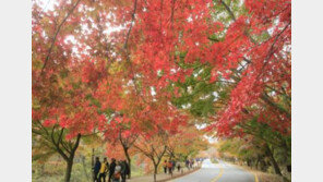 [내일날씨] 전국 쾌청, 아침·밤 기온은 ‘뚝’…큰 일교차 주의