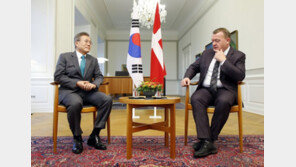 文대통령, 덴마크 총리와 정상회담…녹색성장·조선해운 협력 강화키로