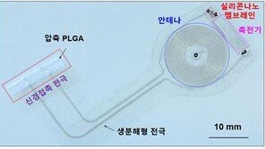 카이스트, 신경치료 후 몸에서 자연 분해되는 전자약 개발
