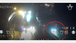 ‘만취 역주행’ 운전자 구속…박상기 “사망자 발생시 ‘영장 청구’ 원칙”