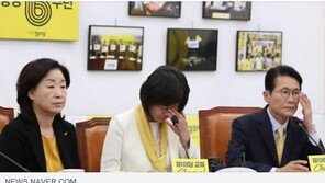 [정의당 창당 6주년] 이정미, 故노회찬 떠올리며 ‘눈물’…“부끄럽지 않은 정당 만들 것”