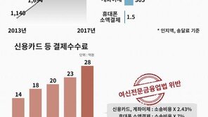 “대법, 전자소송비 수수료 5년간 103억 전가…현행법 위반”