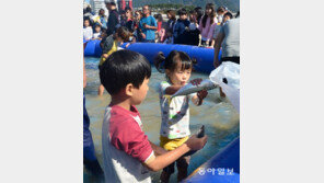 “맨손으로 고등어 잡았어요”