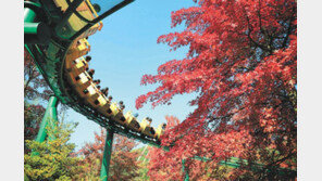 “깊어가는 가을, 에버랜드서 오색단풍에 취하고 오싹오싹 핼러윈 축제 즐기세요”