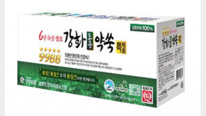 환절기 건강 ‘6년 숙성-발효 강화약쑥’으로 지키자