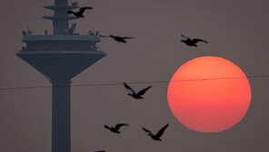 [고양이눈/사진 칼럼]‘하루’의 태동