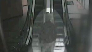 한국인 김성수, ‘조선족’ 소문 왜 돌았나?…‘조선족 포비아’ 슬픈 자화상