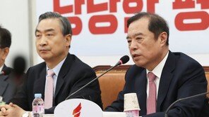 김병준 “교황청 北방문 성사되길…인권문제 큰 전기 마련”