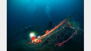 어망 걸려 숨진채…주문진 실종 다이버 3시간만에 발견