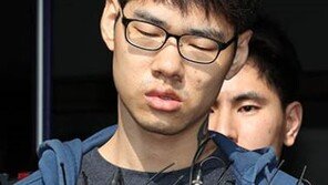 박상기 장관 ‘김성수 정신감정, 신속·정확하게 실시’ 지시 