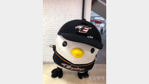 [리틀 빅 히어로] 만인의 연인, 한화 마스코트 수리의 가을나기