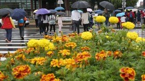 [날씨]서리 내린다는‘상강’…전국 흐리고 중부지방 오전 한때 비