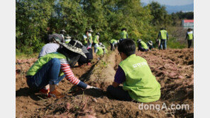 유한양행, 농작물 수확기 농촌일손돕기 봉사활동 진행