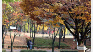 [날씨] 24일 전국 맑음, 큰 일교차 주의…미세먼지 ‘보통’