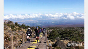 숲길-산길 레이스에 ‘눈 호강’… 둘레길 코스에 감탄사