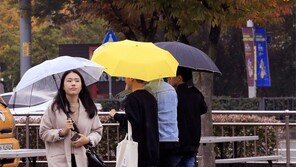 가을 재촉하는 가을비