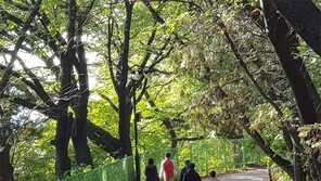 가을비 내린 후 월미산 산책