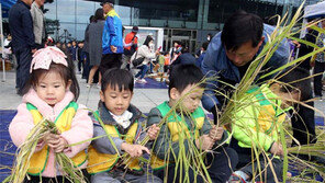 “새끼 꼬기 어려워요”