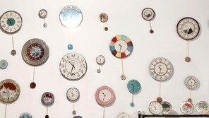 [사진 칼럼]고양이 눈…시간