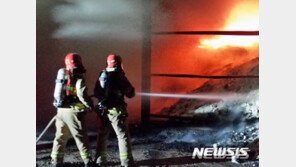 안동 사과저장창고 ‘불’…재산피해 11억7800만원