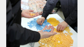 가짜 비아그라 3만6천정 밀수 중국인 보따리상 집유