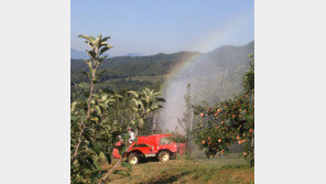‘농민 잡는 농약’ 최근 5년간 광주·전남 농약 피해자 4000명 육박