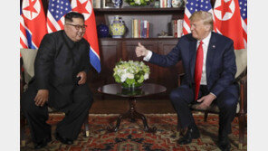 북미 2차정상회담,연내일까 내년일까…美중간선거에 달렸다