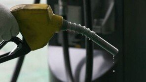 유류세 인하, 고소득층이 최대 수혜자? 정부 “서민 가처분소득 늘리려는 것” 