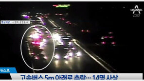 고속버스 추락사고, 화물차 1.3t 낙하물 피하려다…원인 제공자 어떤 처벌?