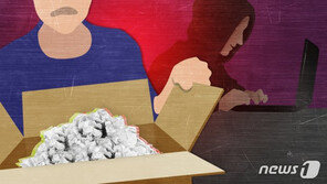 인터넷 판매 사기로 17억원 가로챈 20대 징역 4년 선고