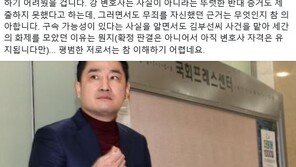 동료 변호사 “강용석, 구속 가능성 알면서 김부선 변호…이해 어려워”