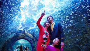 한화아쿠아플라넷, 73% 역대급 할인 이벤트