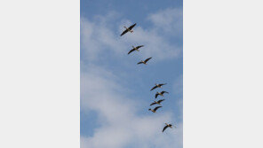 [날씨]25일 쾌청한 가을 하늘…아침 짙은 안개는 ‘주의’