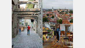 “인생샷 건질 수 있는 곳이 최고!”