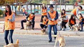 “유기견에 희망 손길 전해요”