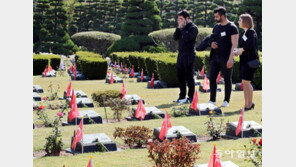 24일 73회 유엔의 날… 참전용사 참배하는 외국인들