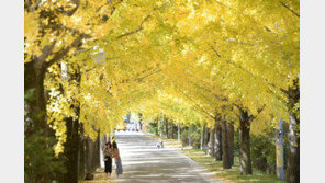 [날씨] 25일 일교차 커 쌀쌀한 가을…맑다가 밤부터 구름