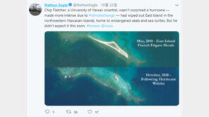 하와이 작은 섬 물속으로…바다표범 서식지 사라져