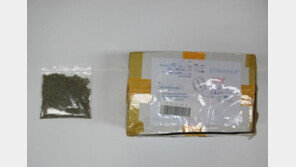 국내 반입된 백색가루서 신종마약 ‘합성대마’ 검출