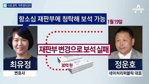 ‘정운호 게이트’ 최유정 변호사, 징역 5년6개월 확정…“연봉 10억짜리 징역” 비난 여론