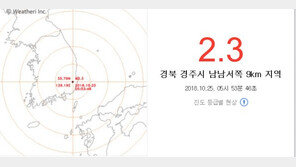 새벽 지진에 경주 시민 깜짝…전문가 “큰 여진은 없을 것”