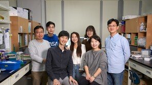 국내연구진 ‘엔도트로핀’ 단백질 만성 간질환 유발 규명