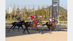 ‘쥬버나일 시리즈 2차 관문’ 우승마를 찾아라