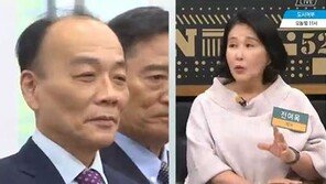 전여옥, ‘황교안·홍준표 전대 불출마’ 언급 전원책에 “말할 자격 없어…개인 정치” 쓴소리